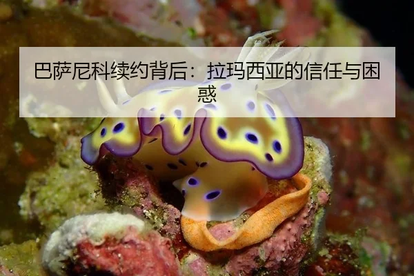 巴萨尼科续约背后：拉玛西亚的信任与困惑